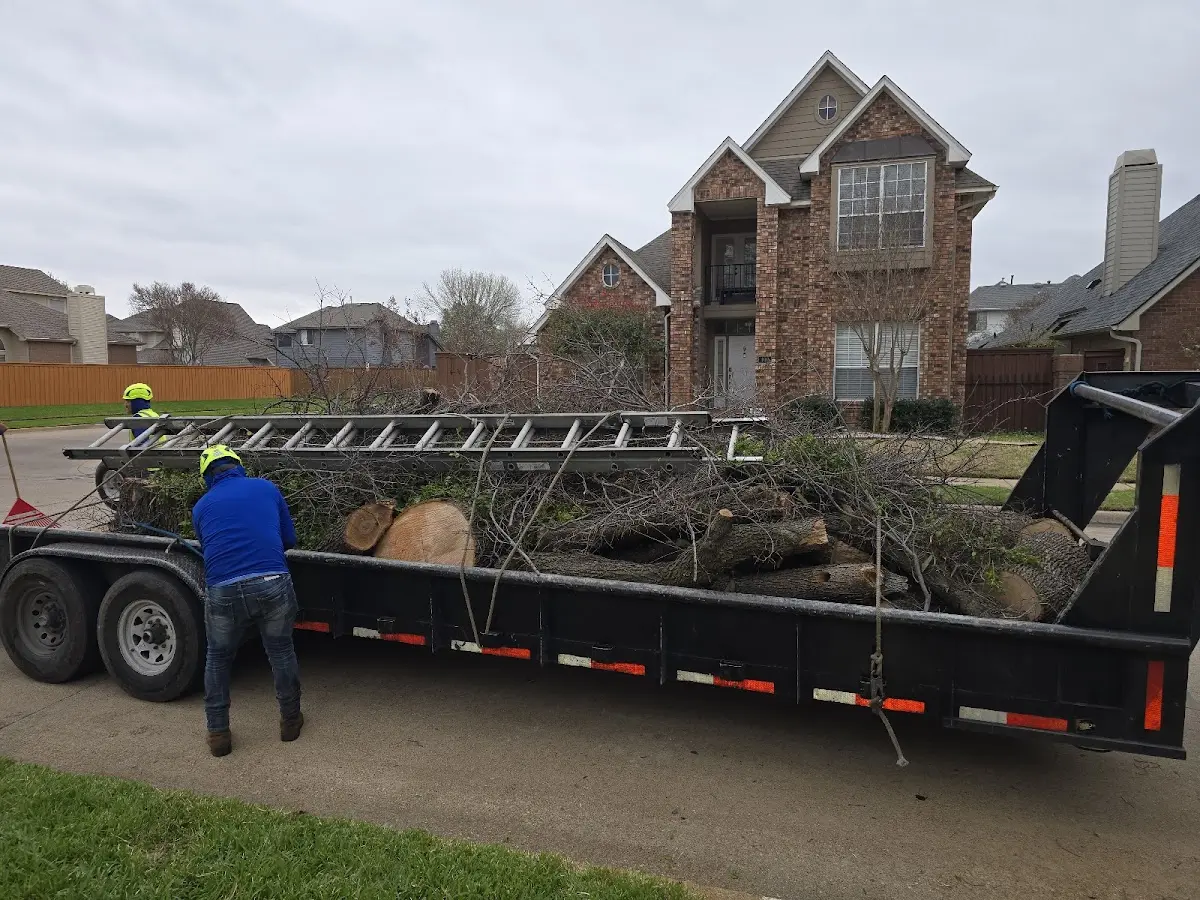 Expert Lot Clearing with proper safety equipment in Kersey